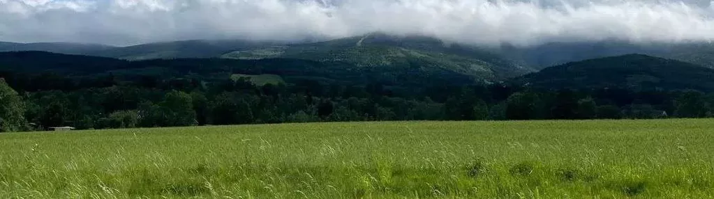 Duża działka budowlana Pobiedna 1,65ha (3 działki)