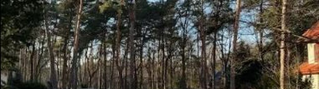 Piękna działka w dąbrowie leśnej z pozwoleniem