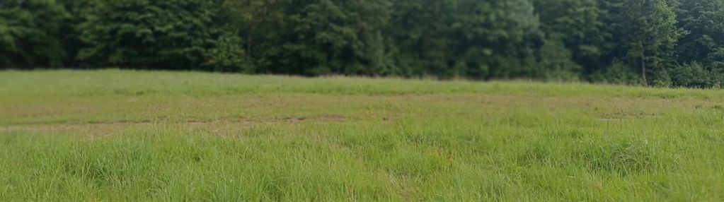 Działka w cichej uliczce,  z prądem.