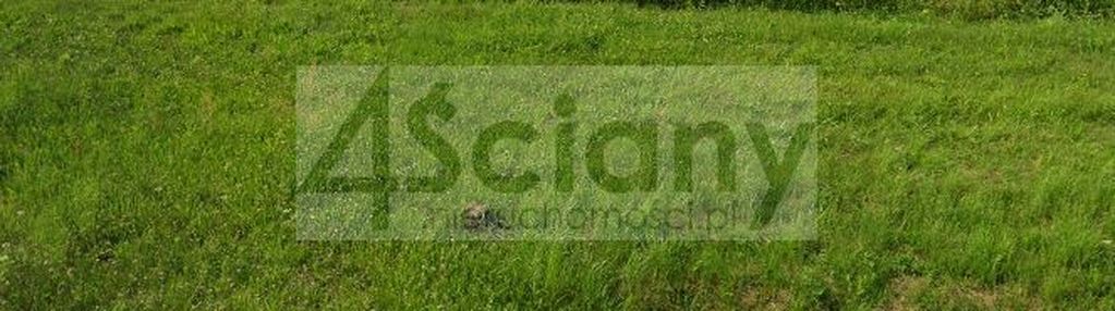 Działka 3000 m2 w starym łajszczewie
