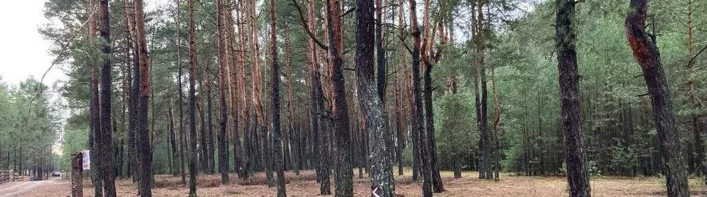 Działka na sprzedaż 3600m2