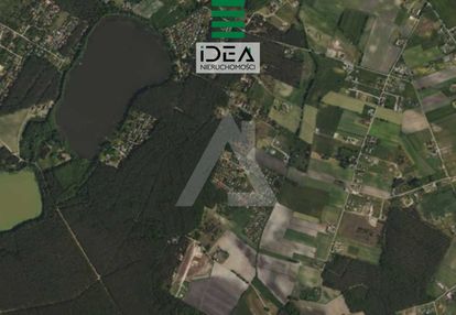 Działka budowlana ze ścianą lasu