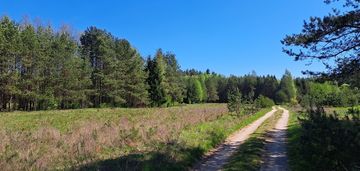 Działka budowlana, mołowiste, jezioro serwy