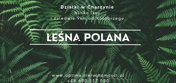 Działka z widokiem na las, obok vilpark