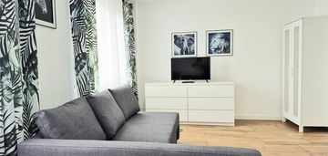 Przytulne mieszkanie|wierzbowa|od zaraz
