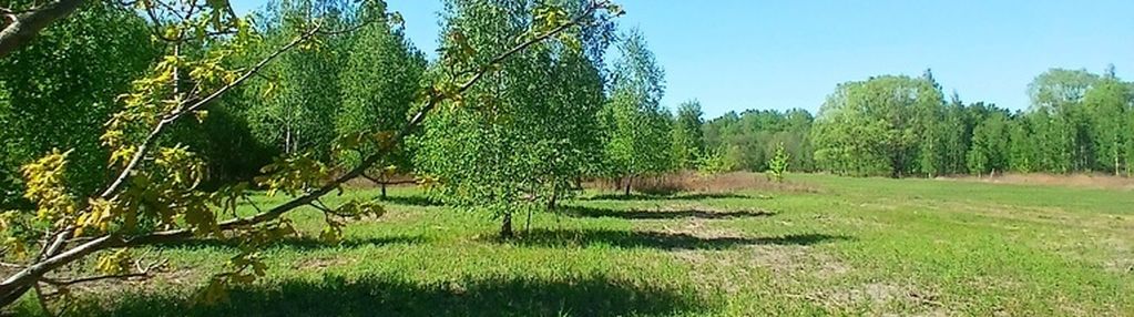 Zielona okolica-działka budowlana