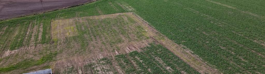 Łagiewniki kościelne działki wz - spokojna okolica