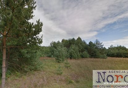 Nowa cena ! promiski, augustów, działka pod lasem