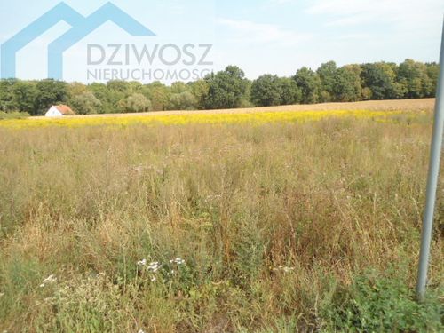Działka budowlana tylko 6km od sobótki
