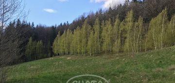 Działka/ rekreacyjna/siedliskowa