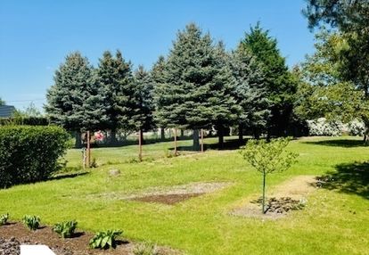 Działka z pięknym ogrodem -tarnowo podgórne