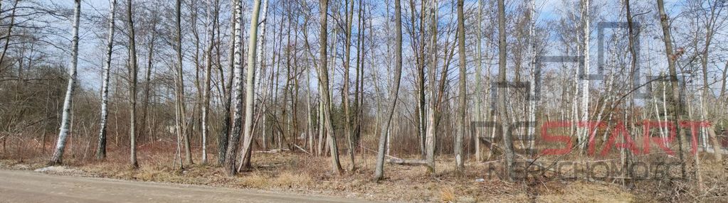 2000 m² pod dom  - czarny las