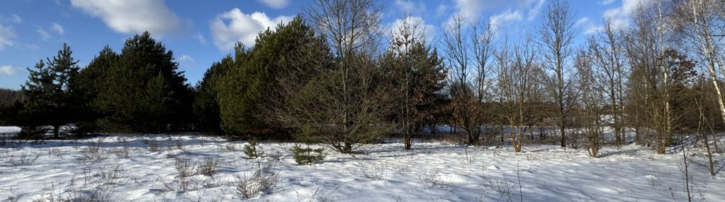 Sprzedaż | działka | 5999 m2 | nowiny| gm. leoncin