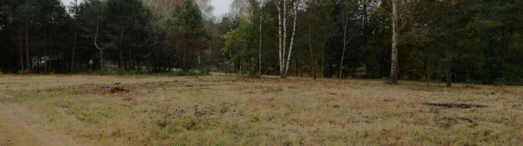 Działka pod rekreację m. czechy orlańskie