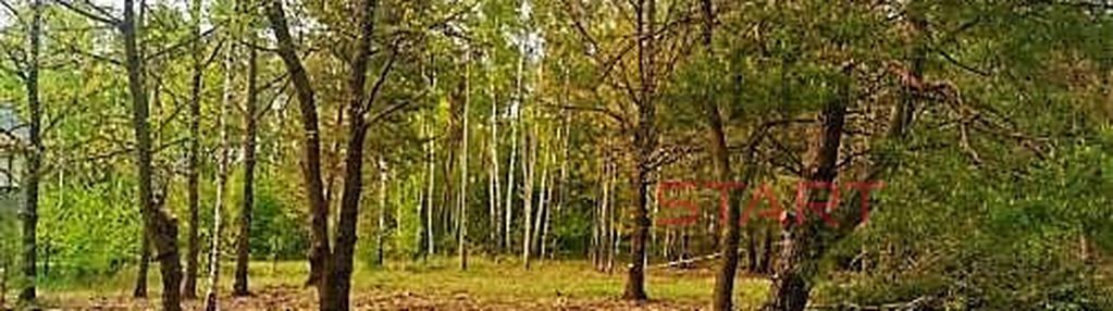 Działki z lasem w książenicach.