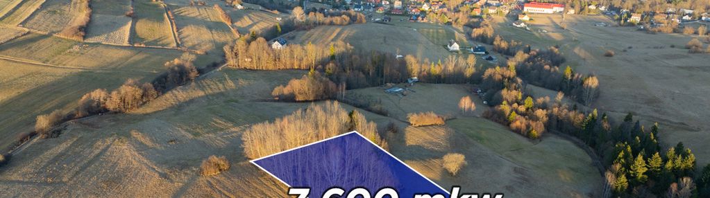 Działka poręba wielka