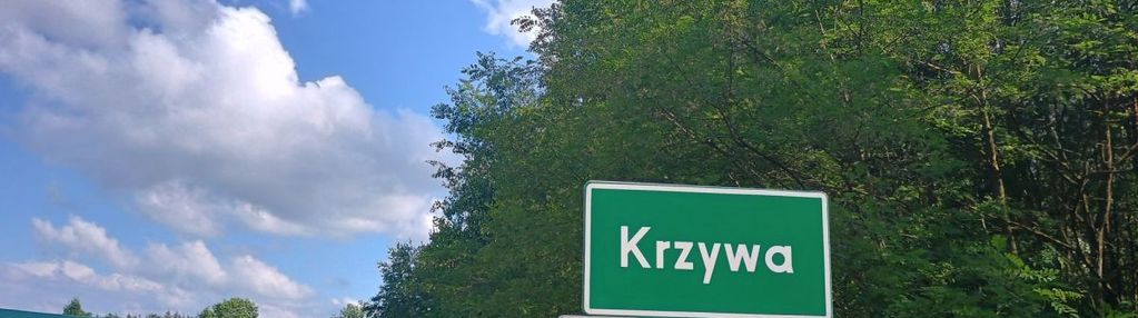 Działka siedliskowa krzywa