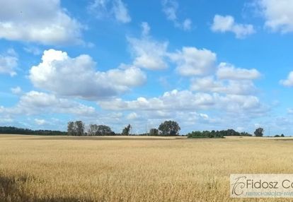 Działka rolna  korytowo