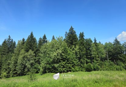 Zieleniec | góry | duży potencjał turystyczny
