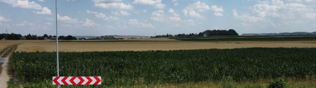 Działka budowlana (mn) - wierciszów