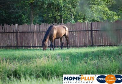 Działka ze stawem w spokojnej okolicy, 4995 m²