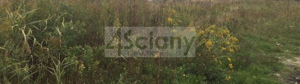 Działka inwestycyjna w dobrym miejscu w raszynie