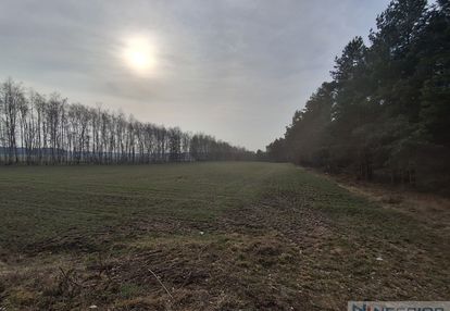 Dwie działki budowlane po 1000 m² w boroszkowie