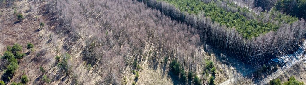 Działki na sprzedaż osieck , 1420m2-1485m2 , mpzp