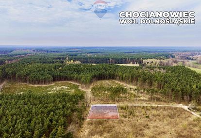 Działka budowlana w bezpośrednim sąsiedztwie lasu