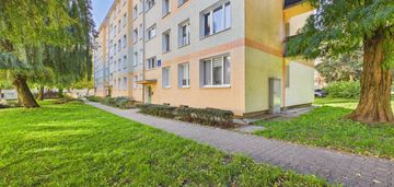 Kawalerka z potencjałem na 2 pokoje kołobrzeska