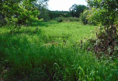 Działka budowlana papowo osieki ul leśna