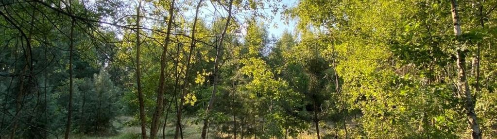 1800 m2 - twój nowy dom pod lasem