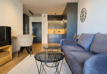 Gaj, ok. borowskiej, 2 pokoje, 42m2, ip.,balkon