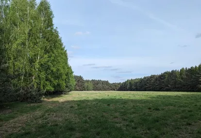 Działka na sprzedaż 256m2