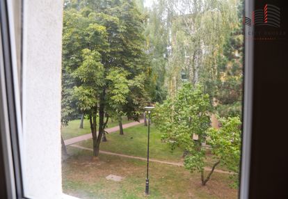 2pokoje czuby bursztynowa