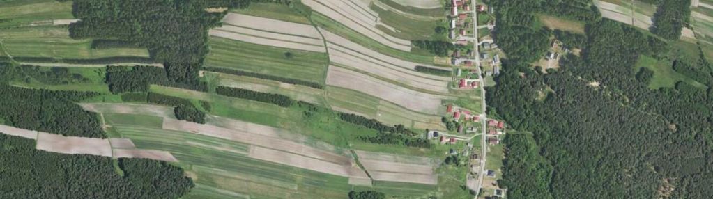 Zasów - działka na sprzedaż 30 arów