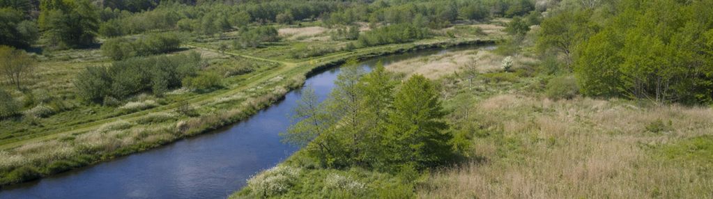 Działka z linią brzegową drwęcy natura 2000