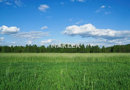Działka w centrum rynarzewa | hala, magazyn, dom