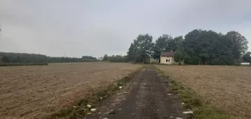 Działka na sprzedaż 3000m2