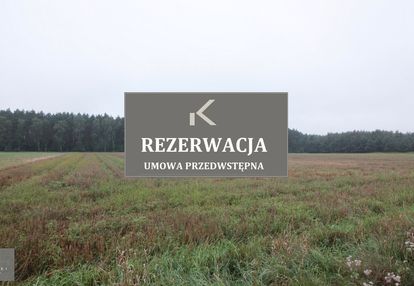 Działki mieszkaniowo-usługowe przy lesie,namysłów