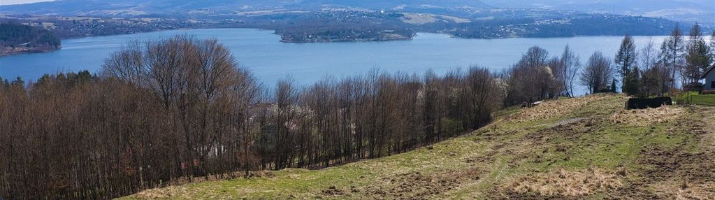 Widok na jezioro i sąsiedztwo lasu