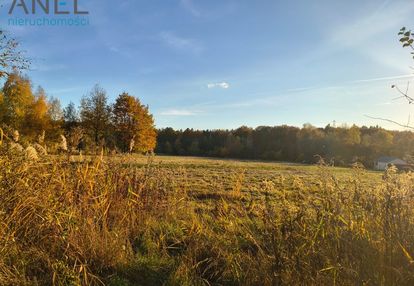 Działka budowlana przy lesie- ul. młyńska