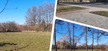 Okazja w centrum kampinosu