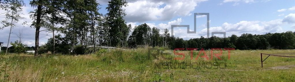 Urokliwa działka w sadych budach.