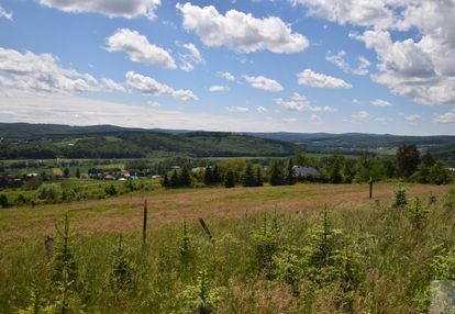 Przemyśl- wapowce widokowa działka na sprzedaż !!!
