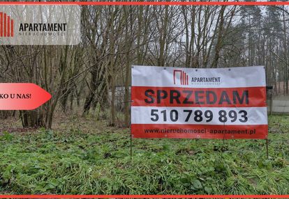 2 działki - grabowiec . wydane wz - w zaciszu lasu