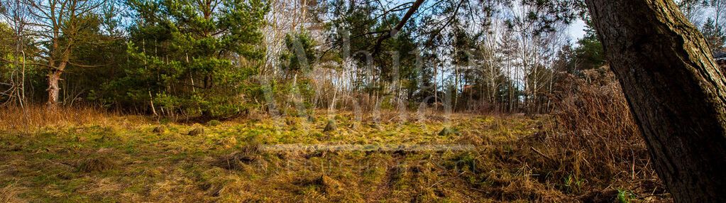 Działka usługowa  z dogodnym dojazdem do obwodnic