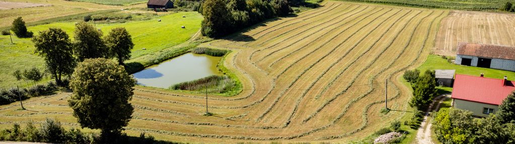 Działka budowlana z zarybionym stawem
