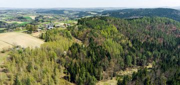 Na sprzedaż pastwisko zalesione w jastrzębi