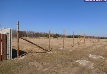 Na nowej dębowej woli